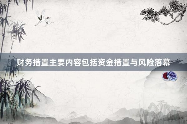 财务措置主要内容包括资金措置与风险落幕