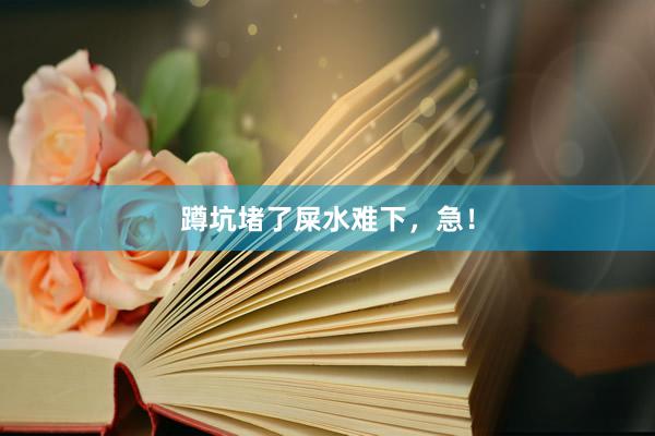 蹲坑堵了屎水难下，急！