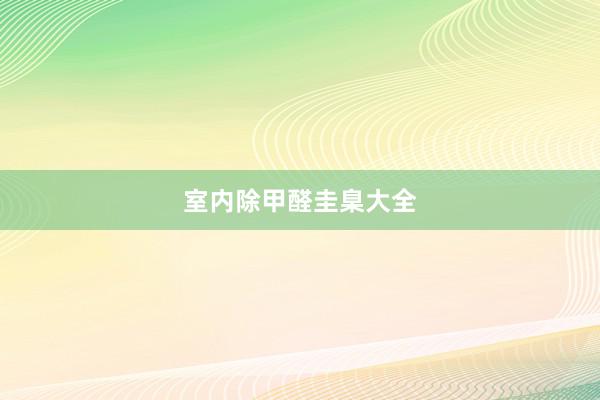 室内除甲醛圭臬大全