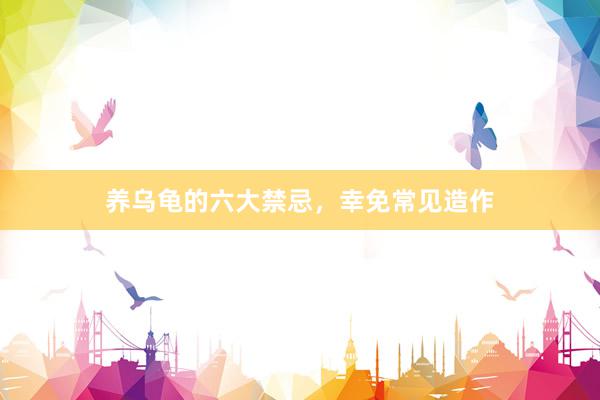养乌龟的六大禁忌，幸免常见造作